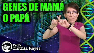 ¿Qué genes se heredan del padre?