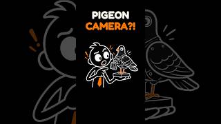 Someone Actually Put a Camera on a Pigeon?!