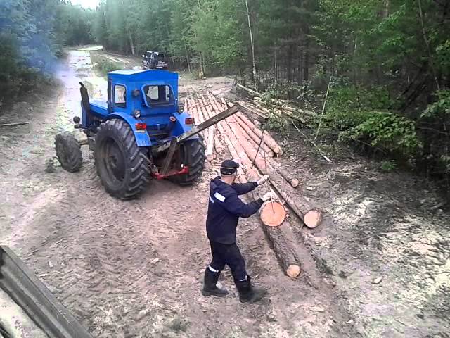 Нужно вывести из леса 35 бревен трактор. Трактор т-40. Для. Леса. Трелевка леса на т 40. Т 40 лесовоз трактор. Погрузка леса т 40.