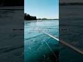 Pesca al siluro in corrente #short #fishing #silure #pesca #siluro #viralshorts #reelfishing