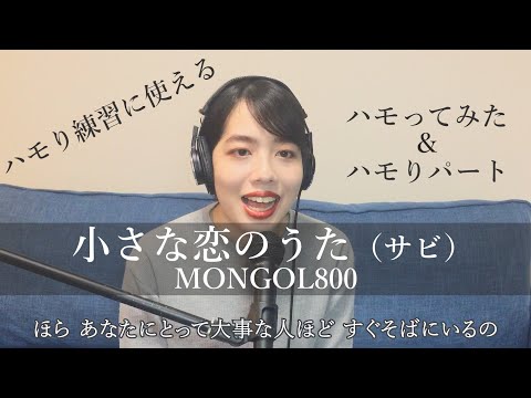 【ハモり練習用】小さな恋のうた / MONGOL800　ハモってみた＆ハモりパート