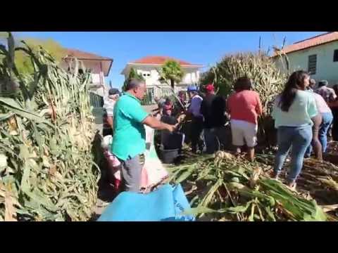 Desfolhada  - Paroquia de Sobradelo da Goma
