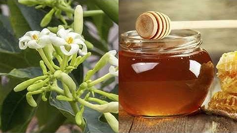 Những ai không nên uống hoa đu đủ đực ngâm mật ong?