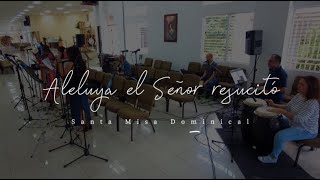 Video thumbnail of "Aleluya el Señor resucitó - Tiempo de Pascua - Misa Dominical - cover-"