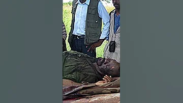 Caída Y Muerte De Jonas Savimbi Angola Unita Mpla Portugal 