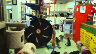 MorningFeeding10-16-2011.flv