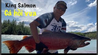 Life in Alaska--Fishing for the King Salmon in Alaska---Cá hồi vua Alaska