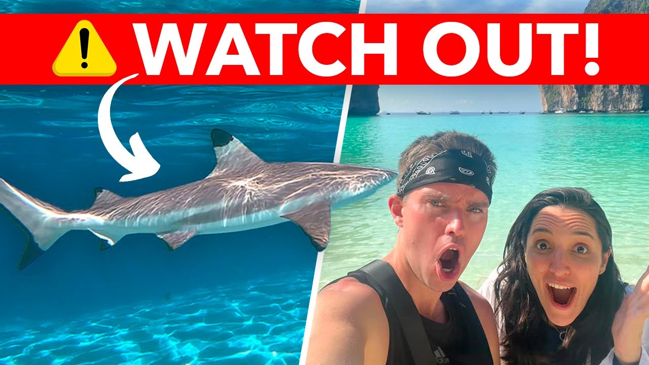 SWIMMING WITH SHARKS on this Koh Phi Phi Island Boat Tour + Snorkeling