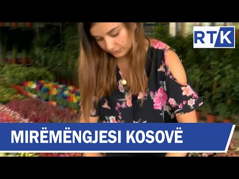 Video: Kujdesi Për Vjollcën