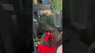 Balıklara Dokununca Kaçıyor Şfetbeniöneçıkar