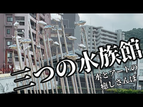 【水際公園】30分で三つの水族館を堪能！？徳島の水とアートが織りなす癒しのさんぽ道