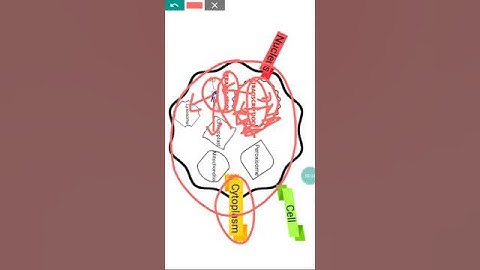 60 Secs. concept in #protein #trafficking. #csirnetlifesciences