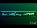 chendumallika poo kandal  song with lyrics malayalam 😍 Mp3 Song