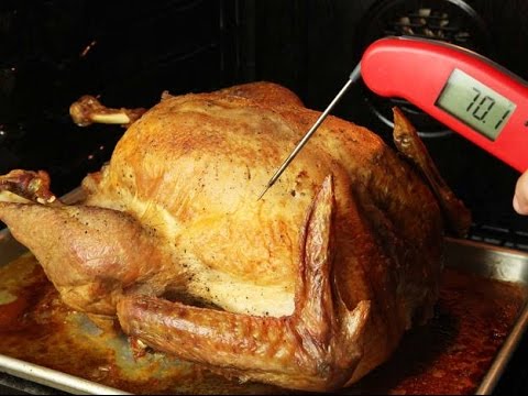 Proper Thermometer Probe Placement in Turkeys