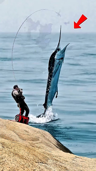 Strike yang Mendebarkan‼️ Joran Meliuk-liuk di Sambar Ikan Marlin Besar #shorts #fishing #mancing