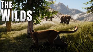 The American Cougar - The Wilds screenshot 4