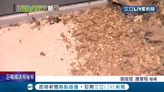 民眾買新成屋驚見白蟻...想退費還遭\ 民眾買新成屋驚見白蟻...想退費還遭\