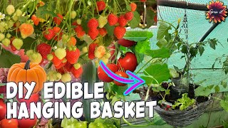 The Edible Hanging Basket  Grow Your Own Fruit and Vegetables Anywhere! #gardening