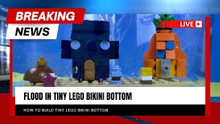 I Flooded LEGO BIKINI BOTTOM… (TINY)