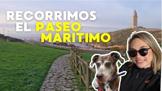 Tour por el Paseo Marítimo de A Coruña: Caminata con Perros