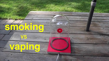 Thuốc Lá Và Thuốc Lá Điện Tử Làm Hại Phổi Của Bạn Thế Nào -  How Smoking vs Vaping Afects Your Lungs