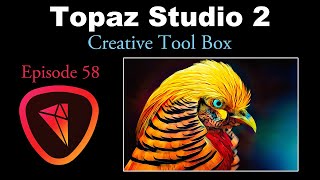 TOPAZ STUDIO 2 (Creative Tool Box- Episode 58) The Pheasant