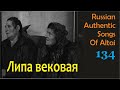 Липа вековая. Старинные русские песни. Песни наших предков. Russian authentic songs of Altai-134