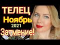 ТЕЛЕЦ НОЯБРЬ 2021/ЛУННОЕ ЗАТМЕНИЕ ! ТЕЛЕЦ  ТАРО на НОЯБРЬ 2021 года от OLGA STELLA