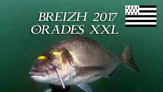 BZH 2017 Orades XXL (EDITED MUSIC)