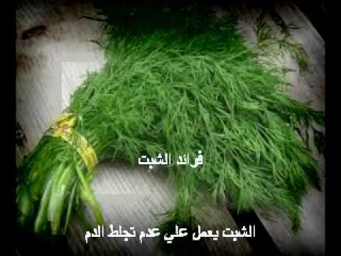 العلاج بعشبة الشبت للمعدة