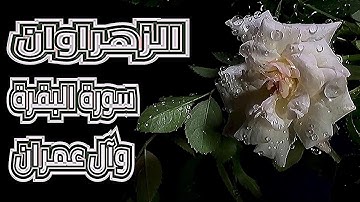 القرآن الكريم | الزهراوان | سورة البقرة وسورة آل عمران