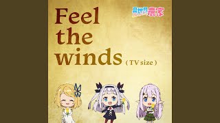 Feel the winds TV size