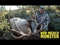 New Mexico Monster, Elk Hunt with Jason Carter
