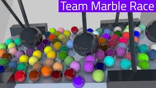 Marble Race 3D Colors | Marble Race Teams