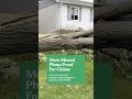 Protect Your Florida Insurance Claim Photos