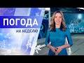 Погода на неделю 8 – 14 февраля 2021. Прогноз погоды. Беларусь | Метеогид