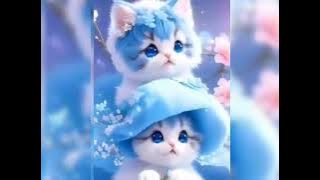 cute cats ♥️♥️♥️♥️🥰🥰🥰👌👌👌👌