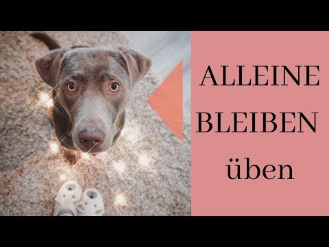 Zungenkuss üben alleine