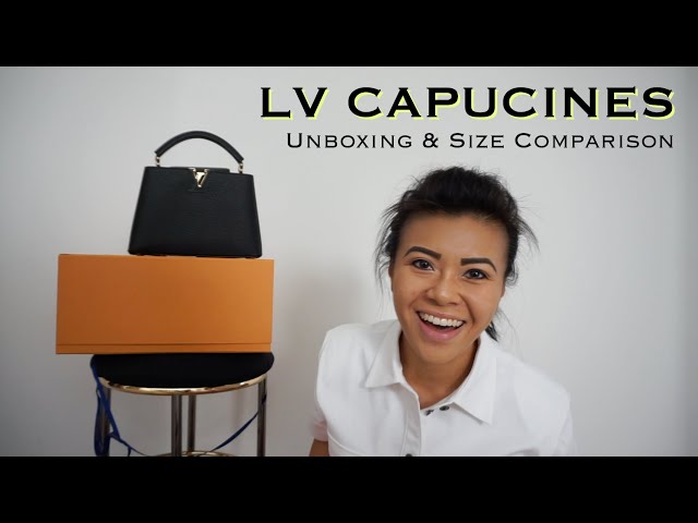 LOUIS VUITTON CAPUCINES MINI REVIEW: What fits, first impressions and mod  shots #louisvuitton 