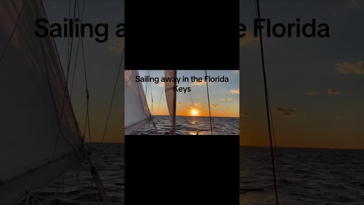⁣Sailing away in the FL Keys #sailingschool #sailing #flkeys #dolphin #learntosail