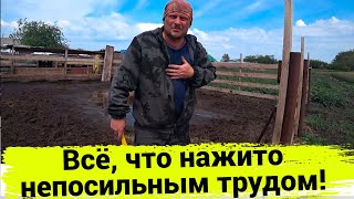 Пришлось ломать, что так долго строили. Уличное содержание быков плюсы и минусы. Купили корову.