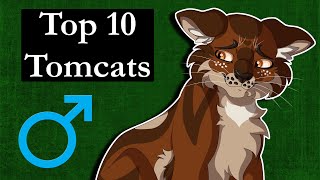 Top 10 Tomcats in Warrior Cats