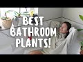 Bathroom Houseplant Tour! | STLYING BATHROOM PLANTS houseplant tour 2021