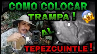 INSTALACION DE TRAMPA Y CAMARA, ¡¡CAPTAMOS ENORME TEPEZCUINTLE O PACA!! INCREIBLE, NO TE LO PIERDAS