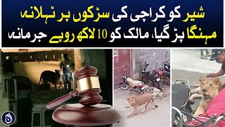 It cost the lion dearly to walk on the streets of Karachi - Aaj News