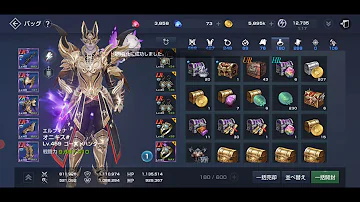 リネレボ アクセサリー リネレボ アクセサリー