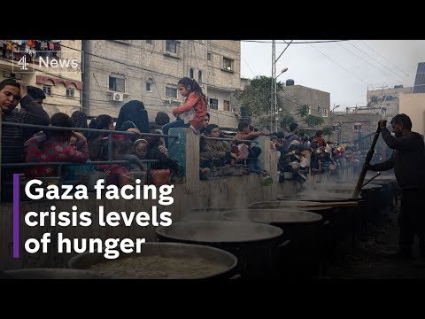 Half a million people starving in gaza, with no functioning hospitals left in the north