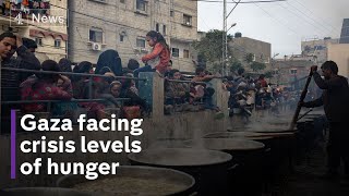 Half a million people starving in Gaza, with no functioning hospitals left in the north