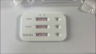 CPV+CCV+Giardia Ag （2）