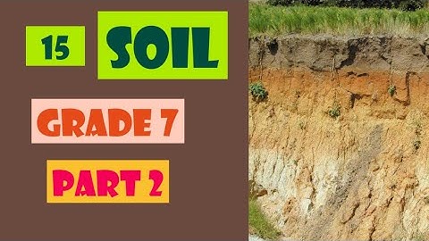 Soil| Unit 15| Grade 7| Science| English medium| Part 2